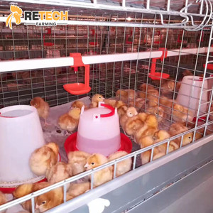 Bé Lớp Pullet Pin Chick Cage Hệ Thống Đối Với Nigeria Bán Với Phân Đai - Product Image 2