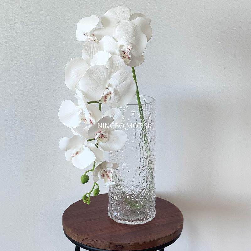 White 3D Phalaenopsis