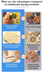 Équipement Commercial de Lyophilisation sous Vide pour Bonbons, Fruits et Café, Grande Capacité 30KG, Machine de Séchage par Congélation pour Aliments avec <span class=keywords><strong>Pompe</strong></span> - Product Image 4