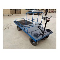 Tricycle électrique à quatre roues pour adultes - Plateforme en acier inoxydable OEM pour le shopping et l'usage industriel