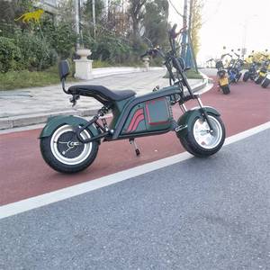 Scooter Elettrico Citycoco di Qualità Fantastica per Uso Personale e Vendita all'Ingrosso - Product Image 4