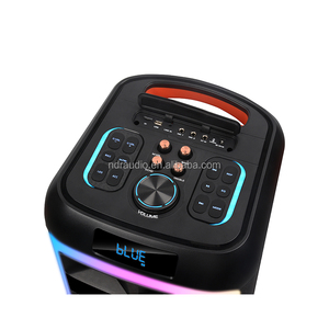 NDR-1710 Enceinte karaoké Bluetooth TWS à double caisson de basses de 8 pouces, 2 voies, avec lumière LED clignotante, sans fil, nouvelle arrivée, batterie professionnelle, haut-parleur KTV - Product Image 6