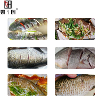 Machine de traitement du poisson entièrement automatique à tambour pour écailler les poissons, prix d'usine