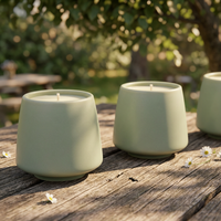 Bougies parfumées en pot en céramique avec étiquette personnalisée en cire naturelle biologique pour chambre à coucher et emballage cadeau