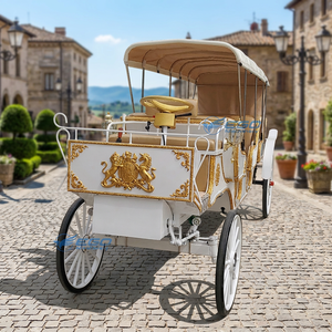 Carroza Eléctrica de Acero Resistente para Turismo con Toldo Impermeable para Recorridos Durante Todo el Año - Product Image 2