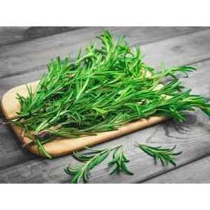 Nuevos y mejores antioxidantes naturales (NEAOX) - Extracto de romero a base de CO2 y extracto por solvente disponibles - Product Image 3