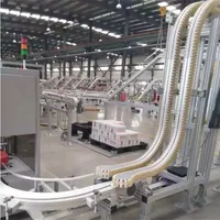 Linea di Trasporto con Pinza per Bottiglie, Nastro Trasportatore a Morsetto per Alte Velocità di Produzione in Direzione Orizzontale e Verticale