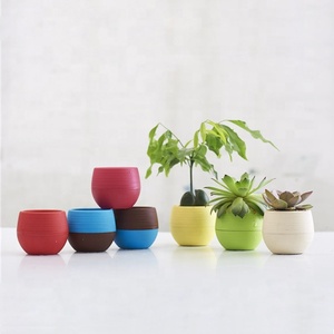 Macetas <span class=keywords><strong>de</strong></span> plástico con forma <span class=keywords><strong>de</strong></span> huevo para suculentas, forma <span class=keywords><strong>de</strong></span> <span class=keywords><strong>Cactus</strong></span>, redondo, colorido, 4 pulgadas, con orificio <span class=keywords><strong>de</strong></span> drenaje - Product Image 4