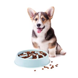 Comedero Lento para Perros Petdom, Divertido e Interactivo, Evita la Bloqueo Gástrico y la Obesidad - Product Image 1