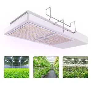 温室トップライトLEDグローライト800W垂直農場照明用高性能