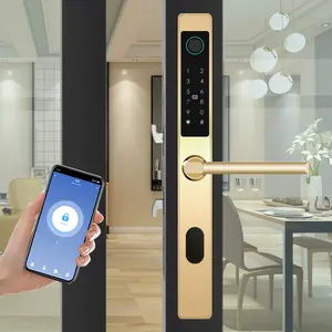 Prodotti di protezione di sicurezza Smart Keyless Card lucchetto Access Control in alluminio serratura della porta