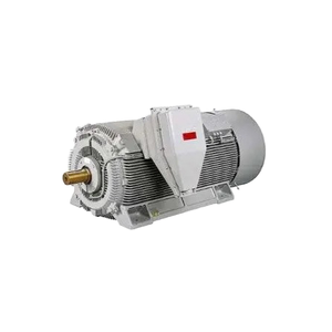 Motor de Inducción de Alto Voltaje Serie Y2 de Alta Eficiencia y Gran Potencia, 160-2000KW, 2-8 Polos, 3KV-13.8KV, Aislamiento Clase F para Minería - Product Image 1