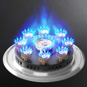 <span class=keywords><strong>Estufa</strong></span> de gas de doble placa de cocina a <span class=keywords><strong>precio</strong></span> competitivo, encimera de acero inoxidable de 5,2 kW con temporizador, tubería de Gas Natural para el hogar - Product Image 3