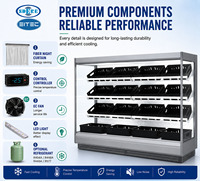 Excellent Réfrigérateur ouvert multi-étagères à température unique série DVM - 881-2643L en acier inoxydable avec éclairage LED pour l'affichage de légumes et fruits
