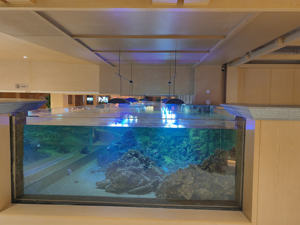 Super Transparant Milieuvriendelijk Plastic Aquaria Oceaanrestaurant Bouw Thema Aquarium Ontwerp - Product Image 2