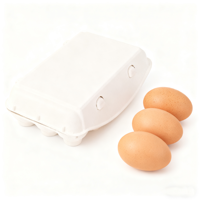 Boîte à œufs en bagasse de canne à sucre à 15 alvéoles, emballage écologique en pulpe moulée biodégradable pour l'agriculture et la vente au détail