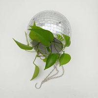 Boule disco miroir artistique à faire soi-même, plante suspendue en plastique, ornements pour la décoration de jardin et de maison, cadeaux pour mariage et Noël
