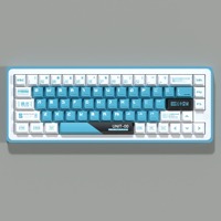 Fabricant OEM, faible MOQ, clavier à interrupteurs magnétiques avec design personnalisé, logo/clavier/logiciel sur mesure pour WIN/MAC