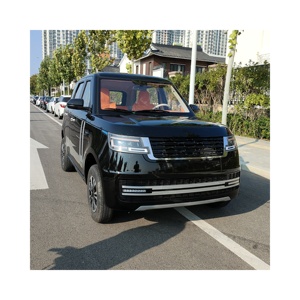 Hot Sales Quality New Energy Electric Vehicles 500km Range Custom Speed Cheapest Electric Cars 3500W AC Electromobile for Adults