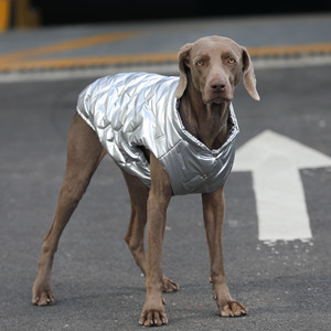 Gilet invernale in argento per Labrador/Golden Retriever/Border Collie/Weimaraner Dog-abbigliamento caldo per <span class=keywords><strong>cani</strong></span> - Product Image 3