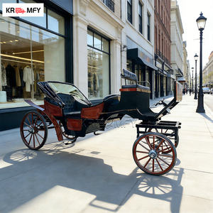 Carruaje de Lujo con Luces LED para Exteriores, Carruaje Navideño, Vagoneta para Bodas en Venta - Product Image 4