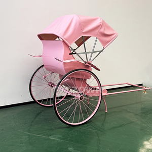 All'ingrosso il vecchio stile risciò carrozza cavallo nuovo arrivo 2 ruote risciò a basso prezzo a buon mercato 2 posti a Pedicab risciò - Product Image 4