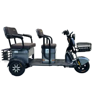 Personnalisation industrielle Cargo Chinese Motorcycle Auto Rickshaw Tuktuk Remote 250Cc Tricycle électrique