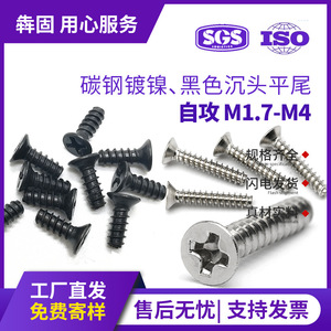 สกรูเกลียวปล่อยหัวแบนเหล็กคาร์บอนสีดำ M1.7 M2 M3 เมตริก สำหรับอุตสาหกรรมก่อสร้างโลหะ - Product Image 5