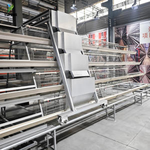Cage à poules pondeuses de type A 96/120/128/160 oiseaux, 3/4 niveaux, 4/5 portes, avec alimentation automatisée et élimination des excréments pour poules pondeuses - Product Image 3