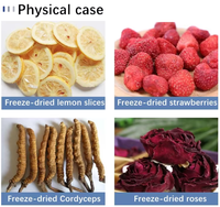 Équipement de séchage de laboratoire de table, lyophilisateur à 3 à 8 plateaux pour la transformation des fruits et légumes
