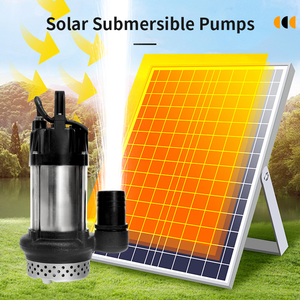 Incredibile motore 2 pollici 1HP 2HP 3HP 24V 200W AC/DC Brushless DC in acciaio inox agricolo <span class=keywords><strong>irrigazione</strong></span> pompa solare sommergibile - Product Image 5