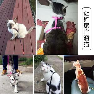 Correa para gatos, arnés de pecho ajustable de nailon para gatos pequeños, para caminar al aire libre, equipo de seguridad antiescape para mascotas - Product Image 1