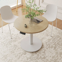 Bureau debout électrique moderne modulaire en acier inoxydable avec plateau en bois, réglable en hauteur, à moteur unique, table élévatrice ergonomique à 3 niveaux
