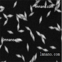 Partículas de Nanocubo de Oro (Au) de Grado Reactivo, 0.05mg/mL, 10mL, para Aplicaciones Médicas y de Bioingeniería, Material Funcional