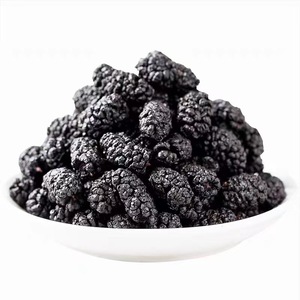 Contoh gratis murbei hitam kering murbei