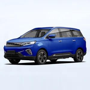 Dayun 2022 Hot Sale Luxury New Energy Vehicles Electric Car Adult New Car DAYUN M1New Energy Vehicle