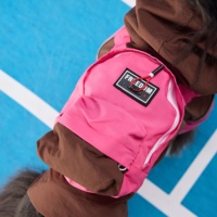 Fabricant de vêtements pour animaux de compagnie en gros, veste pour chien, vêtements personnalisés OEM ODM, vêtements d'été respirants, légers, anti-insectes, en nylon pour l'exercice