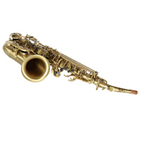 Factory Wholesale Customized Design Lowest Price Brass Eb Tone Alto Sax Musical Instrument