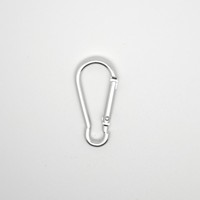 Porte-clés mousquetons ronds en alliage de zinc bon marché, imprimés en typographie, pour l'escalade, le camping et les accessoires de plein air, tendance mode