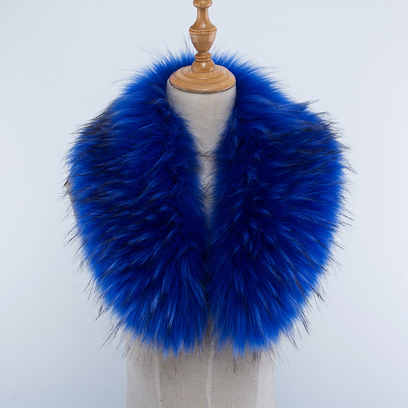 Vison royal