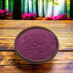 Polvo liofilizado de Aronia de fruta Natural de alta calidad Polvo de bayas de Aronia - Product Image 4