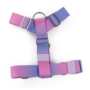Custom Anti Pull <span class=keywords><strong>Dog</strong></span> Y Shape <span class=keywords><strong>Harness</strong></span> Ajustável Confortável Neoprene Fill No Pull <span class=keywords><strong>Harness</strong></span> para Medium Large Dogs - Product Image 2