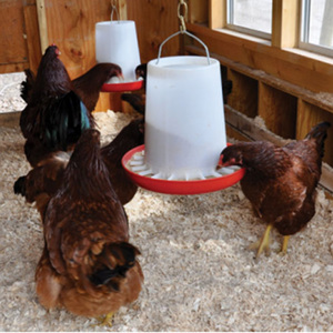 Comedero y Bebedero Automático para Aves de Corral, Cubo de Alimentación Reforzado de Plástico, Cubo de Agua para Pollos - Product Image 6