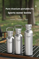 Bouteille d'eau isotherme en titane ultralégère 430/600/750 ml, anti-fuite, pour pique-nique, barbecue, toutes saisons, avec manchon thermique isolant et sac PE