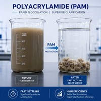 Polyacrylamide Anionique PAM Floculant pour le Traitement des Eaux Usées à Base d'Argile Kaolin, Purification et Coulissement Rapide, CAS 9003-05-8, 25kg