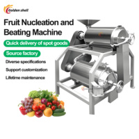 Elektrische Tamarinde Pulpmachine Zaad En Pulp Separator Voor Vla Appelmango Fruit Verwerking
