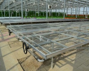 Agriculture Fixed <strong>Benches</strong> for Nursery for <strong>Greenhouse</strong> - Product Image 2