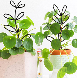 2 supports de pot en fer, <span class=keywords><strong>support</strong></span> de plantes de jardin, cadre de <span class=keywords><strong>support</strong></span> pour plantes grimpantes, <span class=keywords><strong>support</strong></span> de pot de fleurs, poteau fixe de jardin - Product Image 3