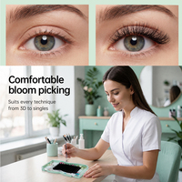 Yelix Upgrade Extensions de cils en éventail 6D 8D, Volumes B C D, 8-15mm, Smart Bloom Lashes, avec plateaux de pose facile
