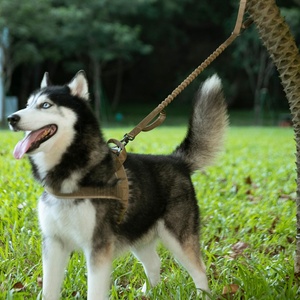 Laisse d'entraînement pour chien à deux poignées de haute qualité avec boucle de siège auto, ensemble laisse et collier tactique pour chien - Product Image 5